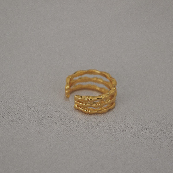 JOINT RING